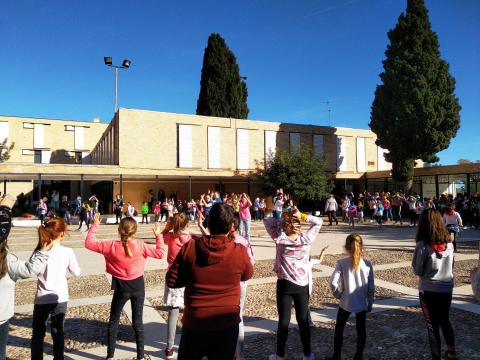 Rogle final